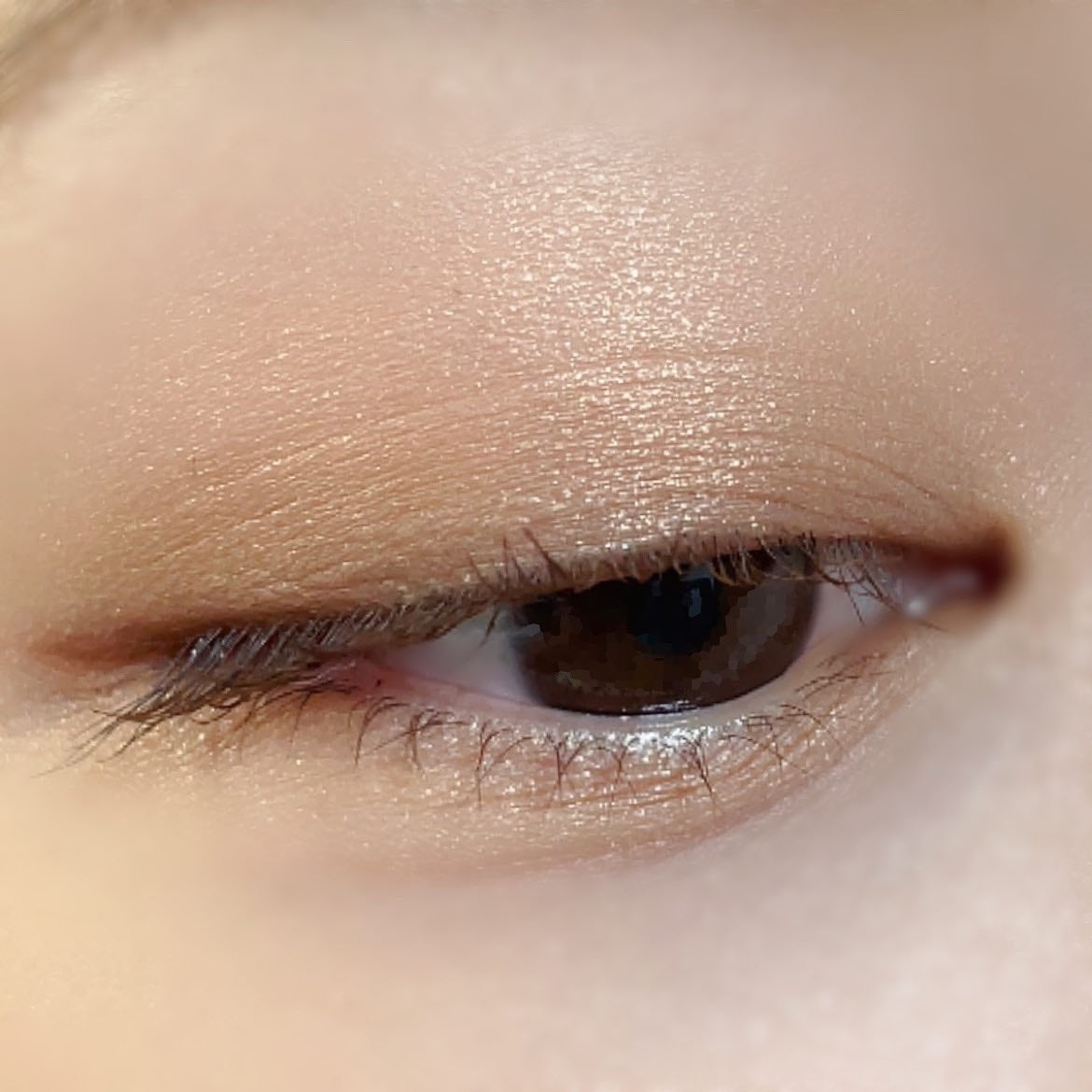 ぽわん☺︎ on LIPS 「.こんにちは🌟MN「MYMIXEDPALETTE」アイ..」(8枚目)