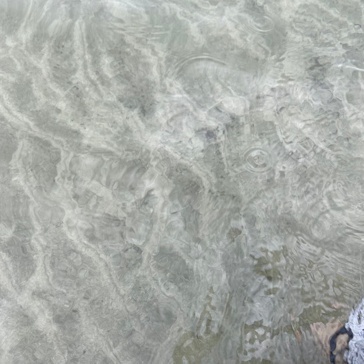 フィニッシングパウダー グロー/チャコット・コスメティクス/ルースパウダーを使ったクチコミ(6枚目)