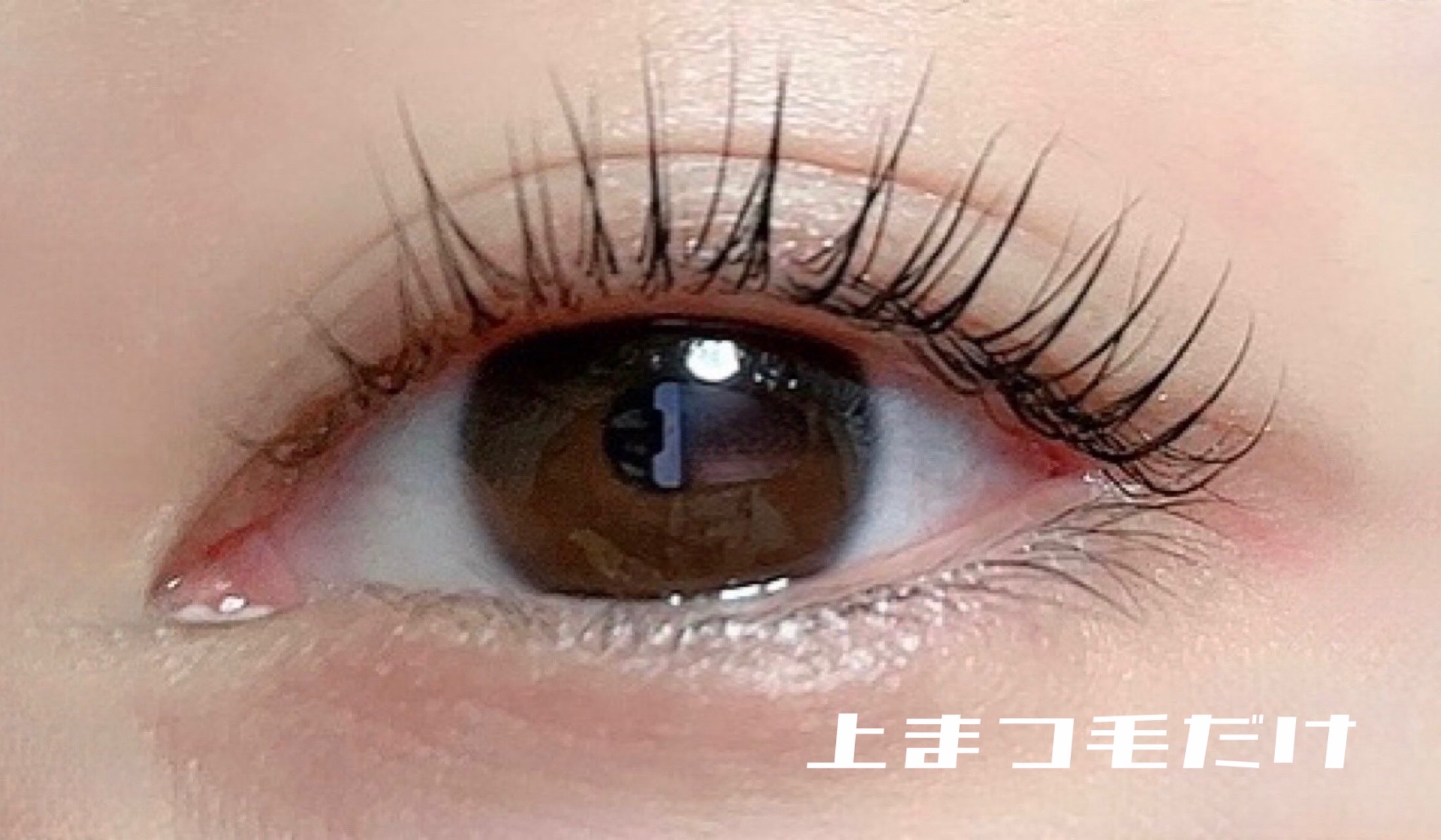 EYE2IN 低刺激 セルフプロ用 まつげパーマ 3種 セット/Qoo10/その他キットセットを使ったクチコミ（3枚目）