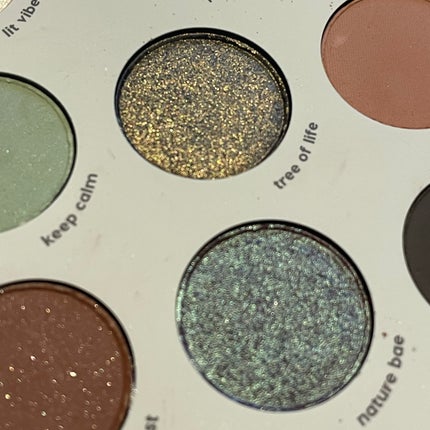 sage the day palette/ColourPop/アイシャドウパレットを使ったクチコミ(8枚目)