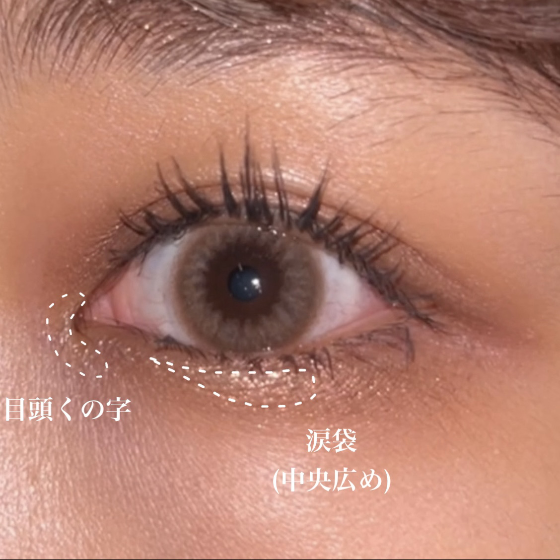 シティライトアイズ 02 スフィンクスアンバー/キャンメイク/アイシャドウを使ったクチコミ（2枚目）