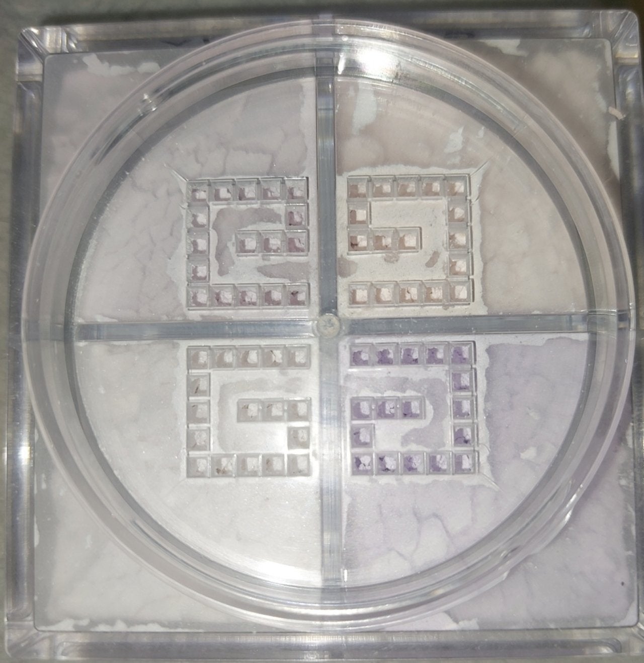 プリズム・リーブル/GIVENCHY/ルースパウダーを使ったクチコミ(5枚目)