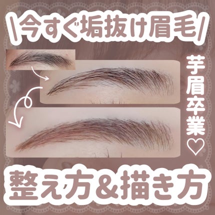 リシェ アイブロウペンシルS/Visée/アイブロウペンシルを使ったクチコミ(1枚目)