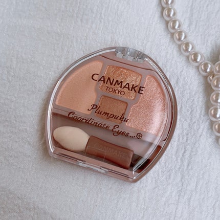 プランぷくコーデアイズ/キャンメイク/パウダーアイシャドウを使ったクチコミ(1枚目)