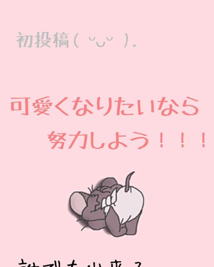 ハトムギ化粧水(ナチュリエ スキンコンディショナー R )/ナチュリエ/化粧水を使ったクチコミ(1枚目)
