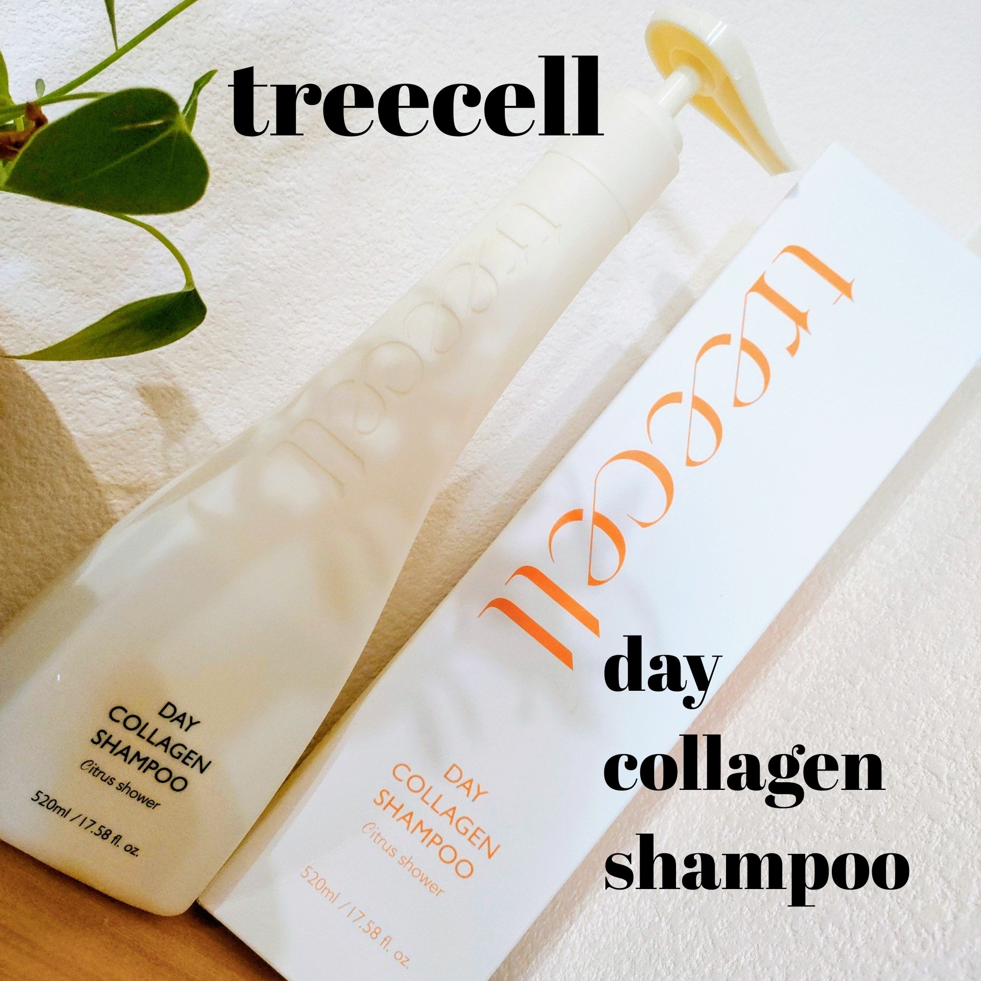 デイコラーゲンシャンプー シトラスシャワー/treecell/市販シャンプーを使ったクチコミ（1枚目）