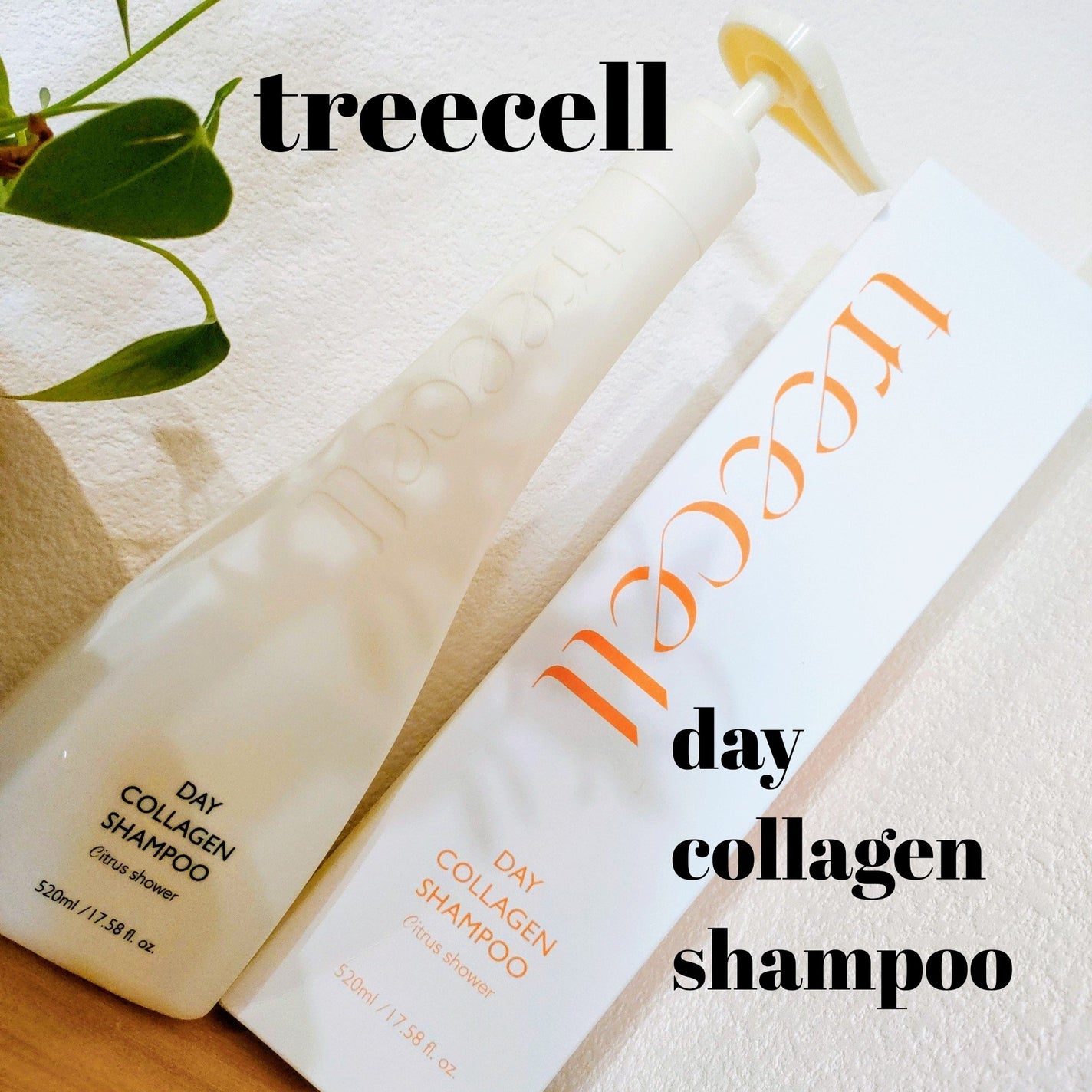 デイコラーゲンシャンプー シトラスシャワー/treecell/市販シャンプーを使ったクチコミ(1枚目)