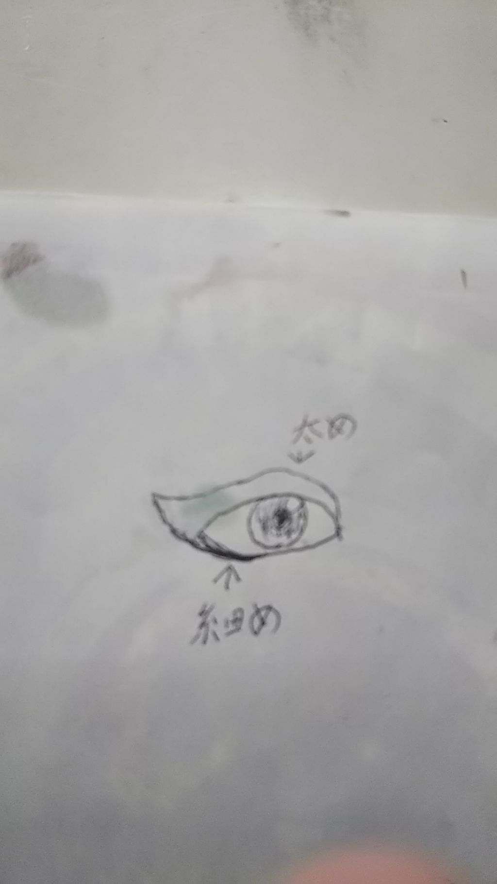 アウト ライン/MARY QUANT/ペンシルアイライナーを使ったクチコミ（3枚目）