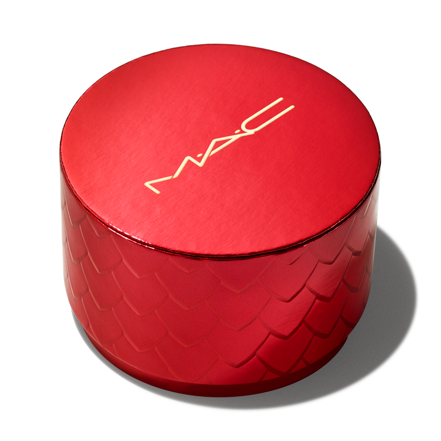 スタジオ フィックス プロ セット ブラー ルース パウダー トランスルーセント(限定)