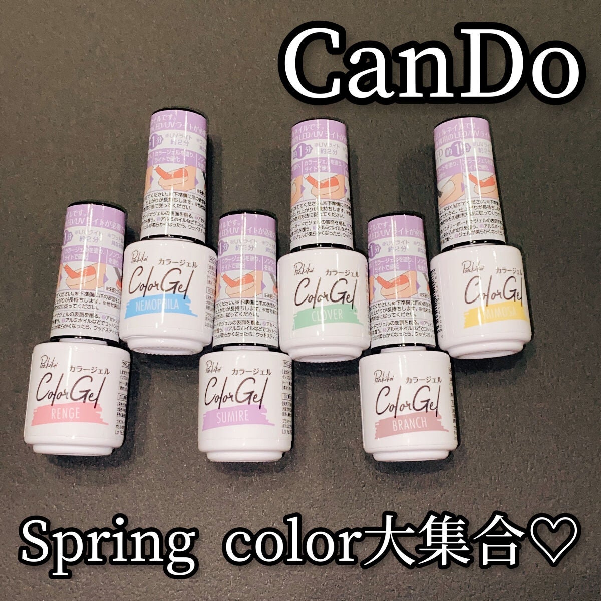 パル カラージェル/キャンドゥ/ジェルネイルを使ったクチコミ(1枚目)