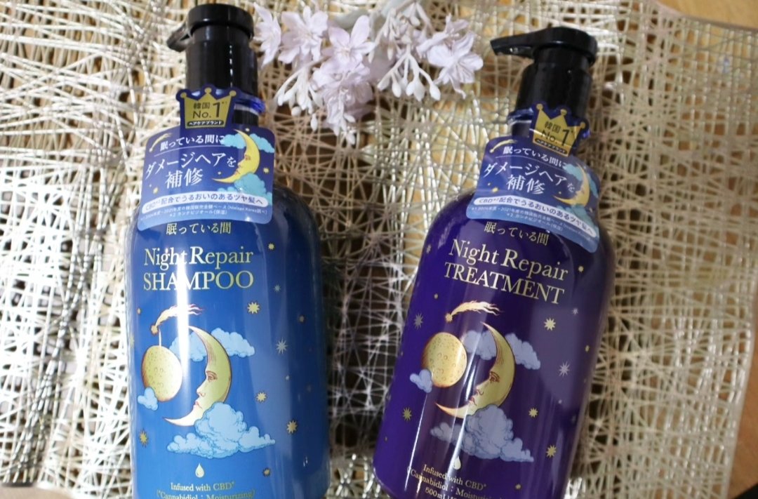 眠っている間 ナイトリペアシャンプー＆トリートメント/エラスチン/シャンプー・コンディショナーを使ったクチコミ（1枚目）