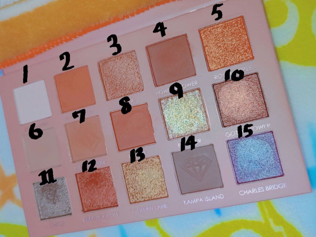 GO TRAVEL 15色アイシャドウパレット/FOCALLURE/アイシャドウパレットを使ったクチコミ（1枚目）