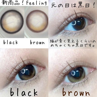 蜜のレンズ Feeling Blackのクチコミ「韓国カラコンサイトの蜜のレンズで販売中の新商品◎

フィーリング

・ブラック
・ブラウン 
.....」（1枚目）