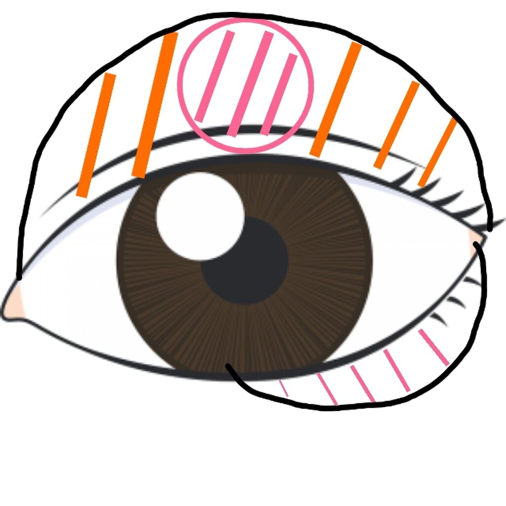 カネボウ アイカラーデュオ/KANEBO/アイシャドウパレットを使ったクチコミ(2枚目)