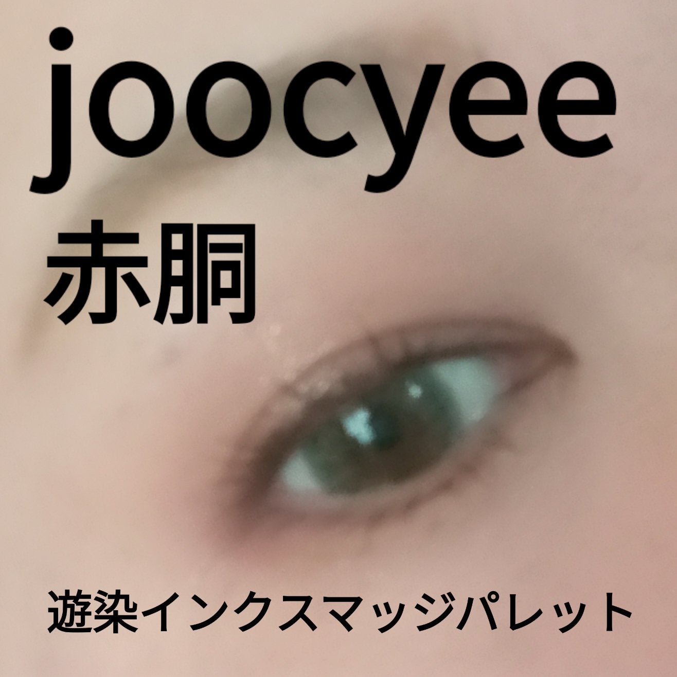 遊染インクスマッジパレット/Joocyee/アイシャドウパレットを使ったクチコミ(1枚目)