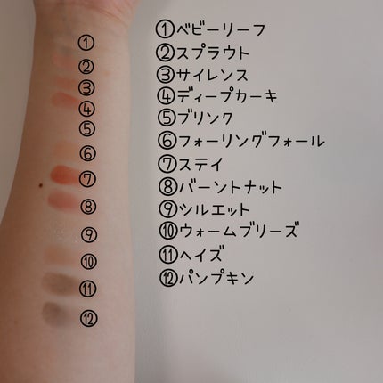 ソフトブラーリングアイパレット/wakemake/アイシャドウパレットを使ったクチコミ(3枚目)