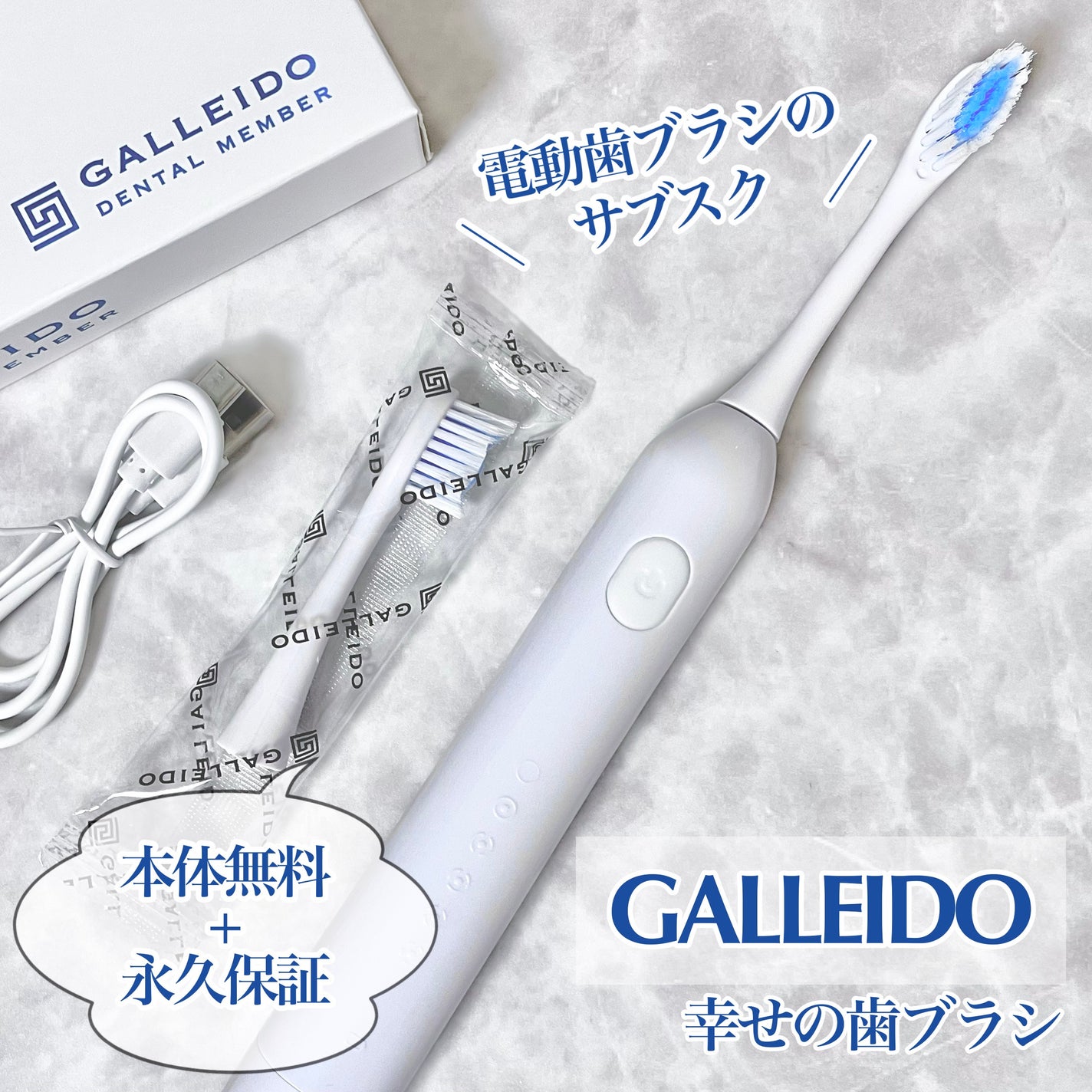 galleido dental member GALLEIDO DENTAL MEMBER