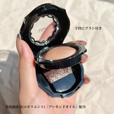 フォギーオンチークス N BR320 シナモンブラウン / Visée(ヴィセ) | LIPS