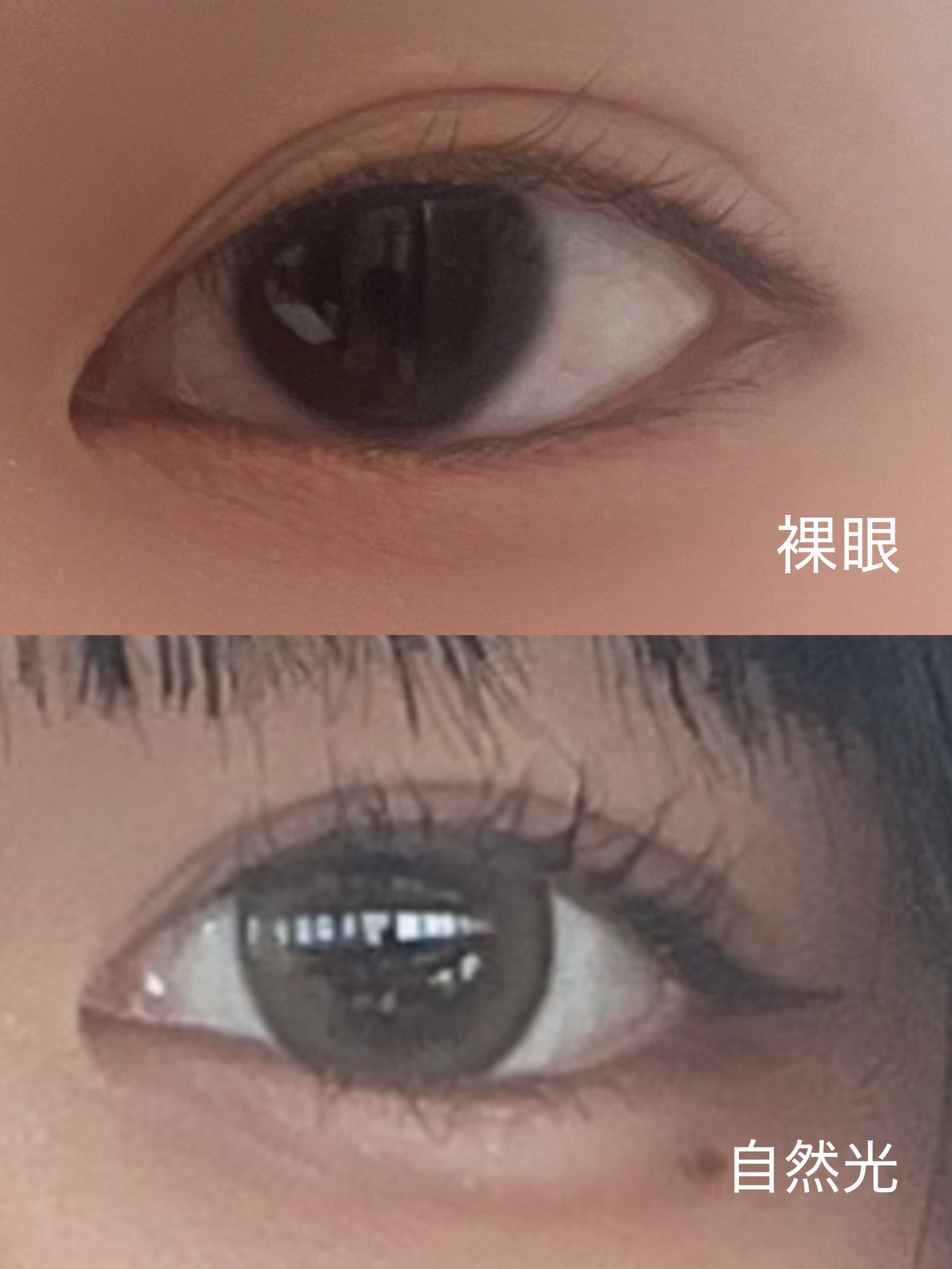 1day refrear a-eye/リフレア/ワンデー（１DAY）カラコンを使ったクチコミ（2枚目）