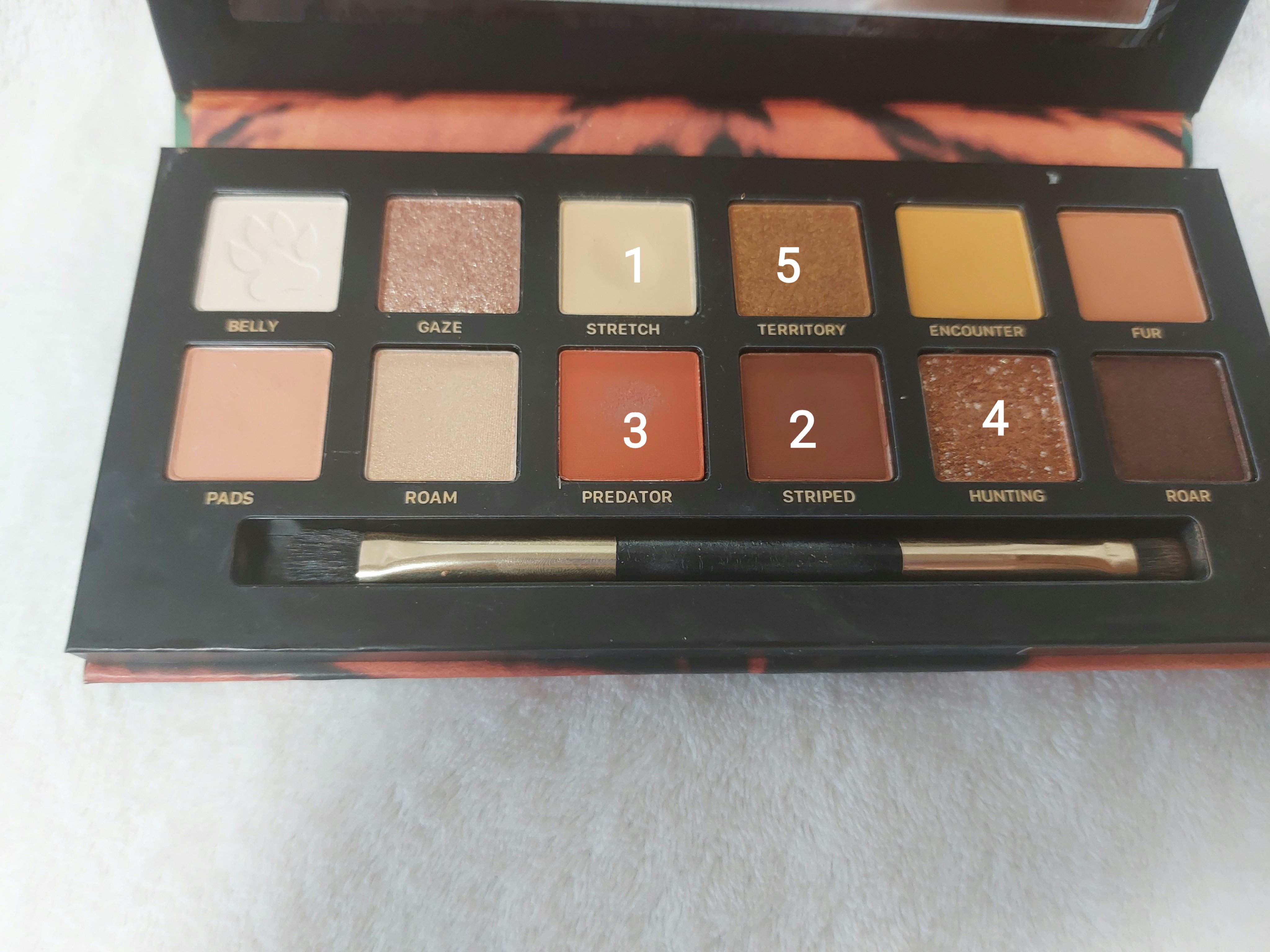 エクスプローラ12色 動物アイシャドウパレット/PERFECT DIARY/アイシャドウパレットを使ったクチコミ（3枚目）