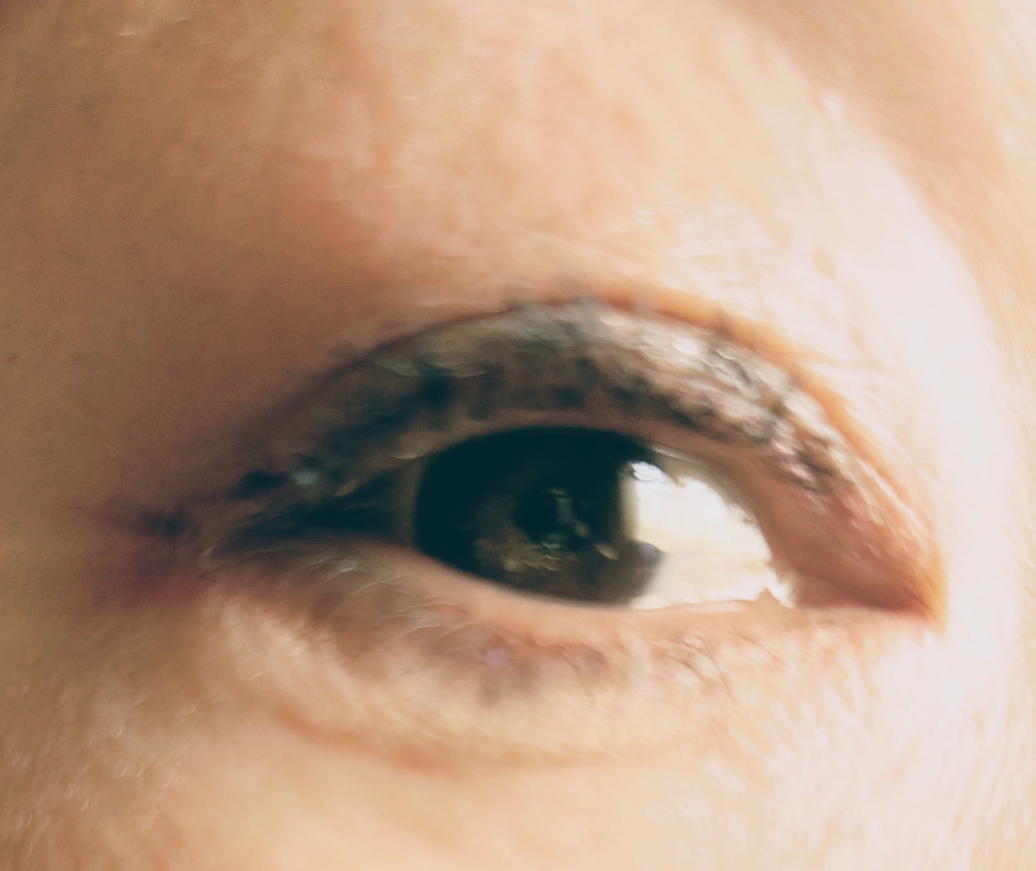 ラッシュエキスパンダー ロングロングロング/MAJOLICA MAJORCA/マスカラを使ったクチコミ（2枚目）