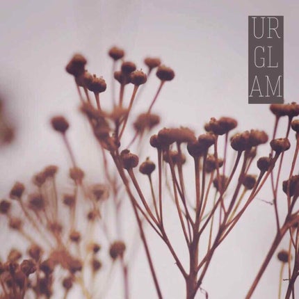 UR GLAM BLOOMING EYE COLOR PALETTE/U R GLAM/アイシャドウパレットを使ったクチコミ(1枚目)