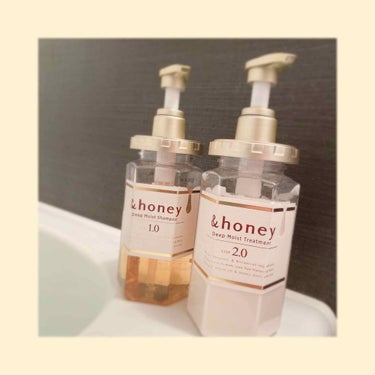 ディープモイスト シャンプー1.0／ヘアトリートメント2.0/&honey/シャンプー・コンディショナーを使ったクチコミ（1枚目）