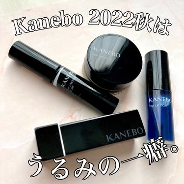 ティントリップコート/KANEBO/リップグロスを使ったクチコミ（1枚目）