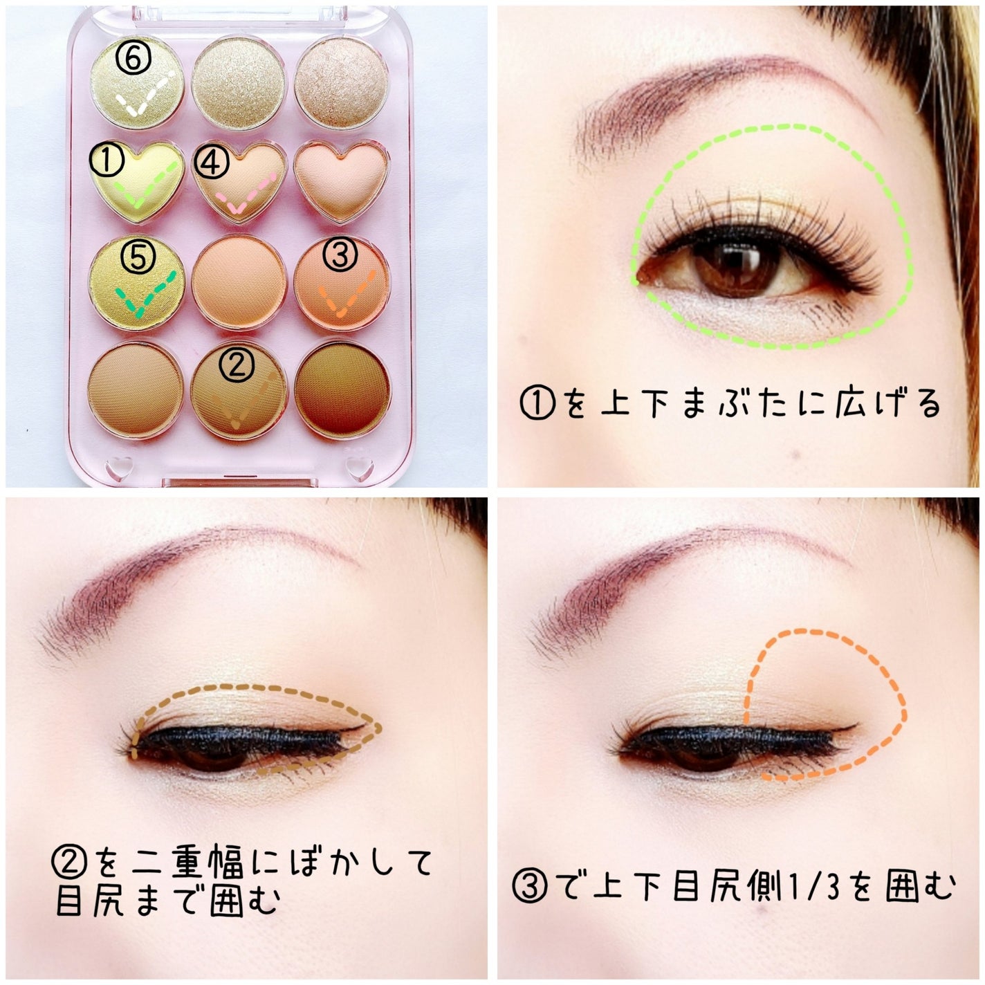 目元チュートリアルアイパレット/Colorgram/アイシャドウパレットを使ったクチコミ(2枚目)