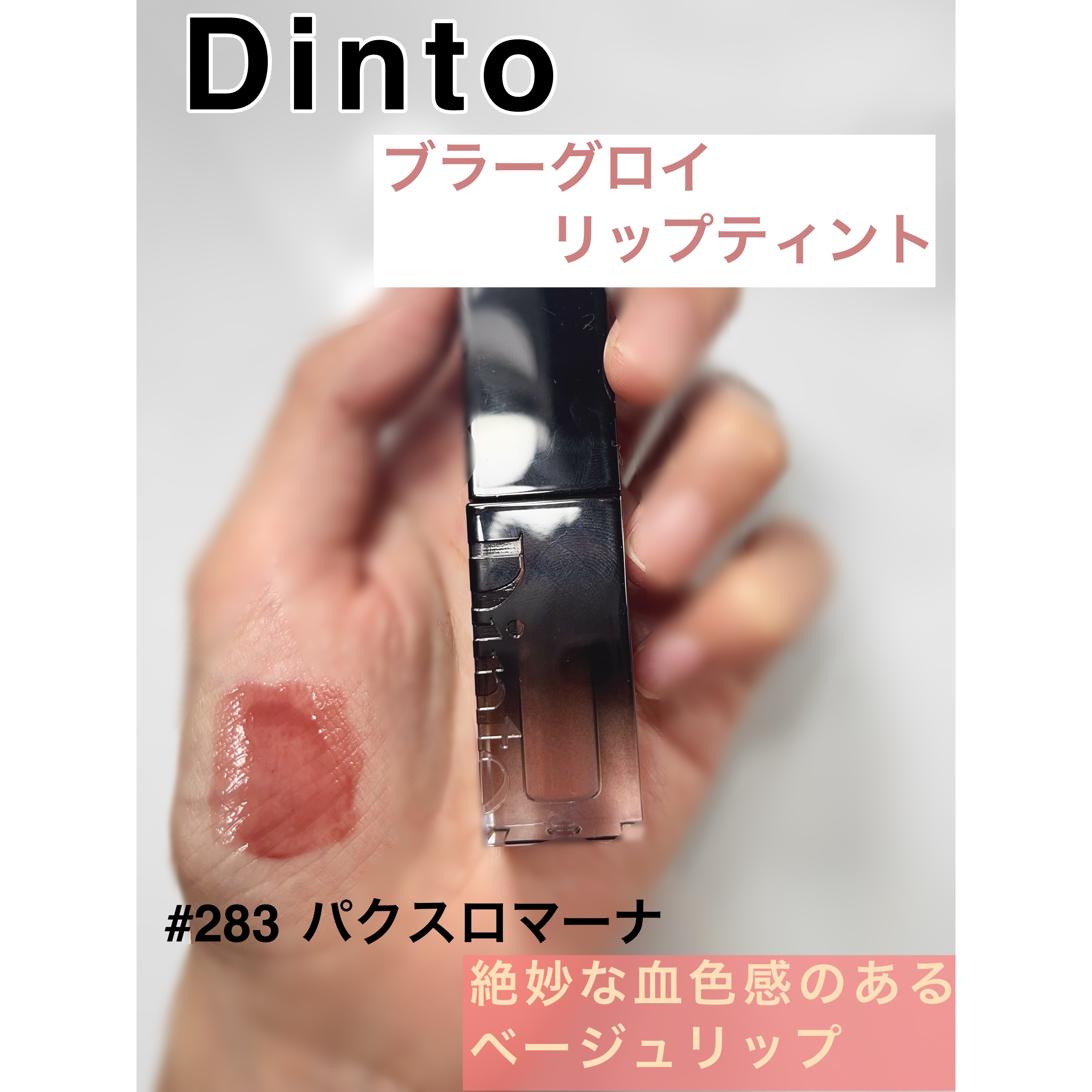 ブラーグロイリップティント 283 パクスロマーナ/Dinto/リップティントを使ったクチコミ（1枚目）