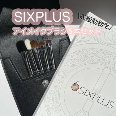 SIXPLUSアイメイクブラシ 5本セット高級動物毛 化粧ポーチ付き/SIXPLUS/メイクブラシを使ったクチコミ（1枚目）