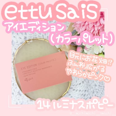 アイエディション(カラーパレット)/ettusais/アイシャドウパレットを使ったクチコミ（1枚目）