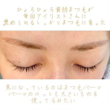 エグータム/アルマダスタイル/まつげ美容液を使ったクチコミ(6枚目)