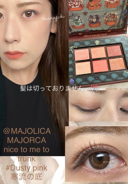 ナイストゥミーチュートランク/MAJOLICA MAJORCA/アイシャドウパレットを使ったクチコミ(4枚目)