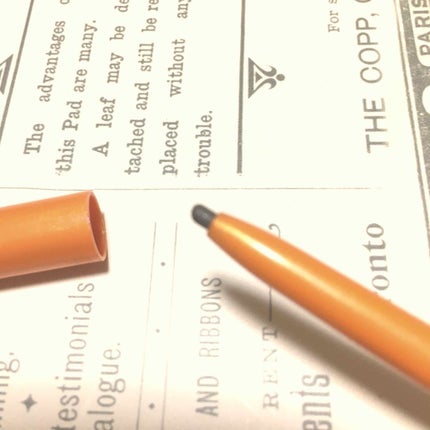 ペンシル型眉パウダー ステイナチュラR/デジャヴュ/アイブロウペンシルを使ったクチコミ(2枚目)