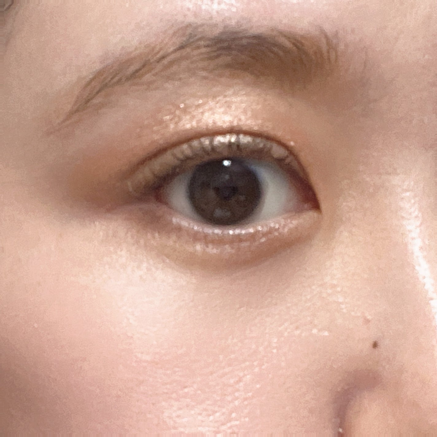 アイグロウジェム スキンシャドウ/DECORTÉ/ジェル・クリームアイシャドウを使ったクチコミ(4枚目)