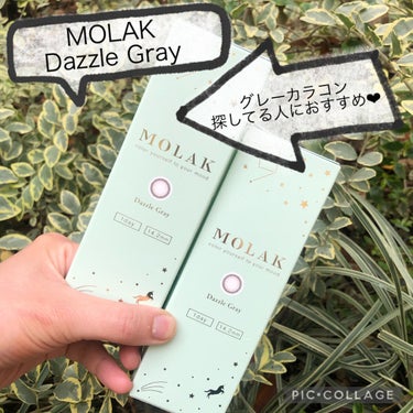 MOLAK 1day ダズルグレー/MOLAK/ワンデー（１DAY）カラコンを使ったクチコミ（1枚目）