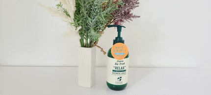 Diane Be True(ダイアンビートゥルー)マイルドモイスチャー ボディソープ /ダイアンビートゥルー/ボディソープを使ったクチコミ(2枚目)