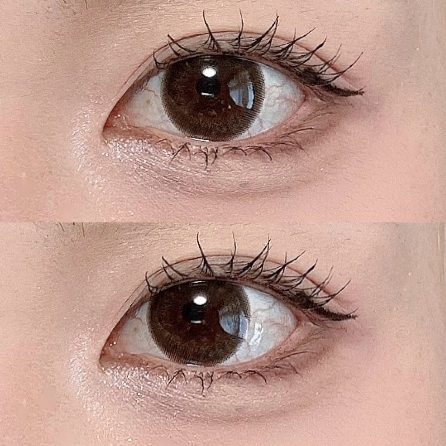 カラーミキシングコンシーラー/キャンメイク/パレットコンシーラーを使ったクチコミ(6枚目)