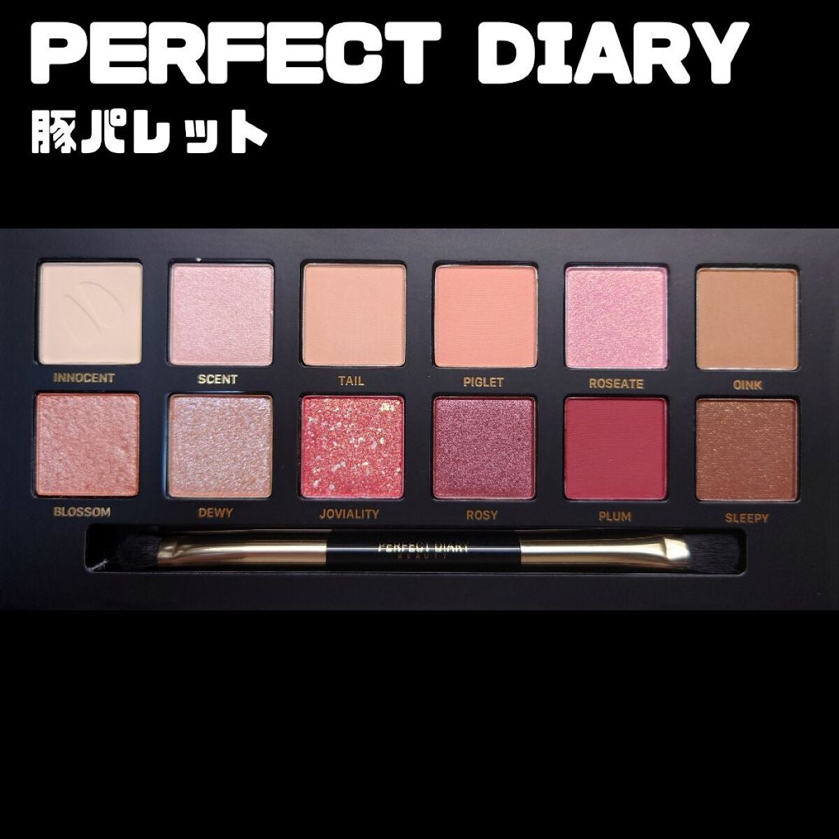 エクスプローラ12色 動物アイシャドウパレット/PERFECT DIARY/アイシャドウパレットを使ったクチコミ(2枚目)