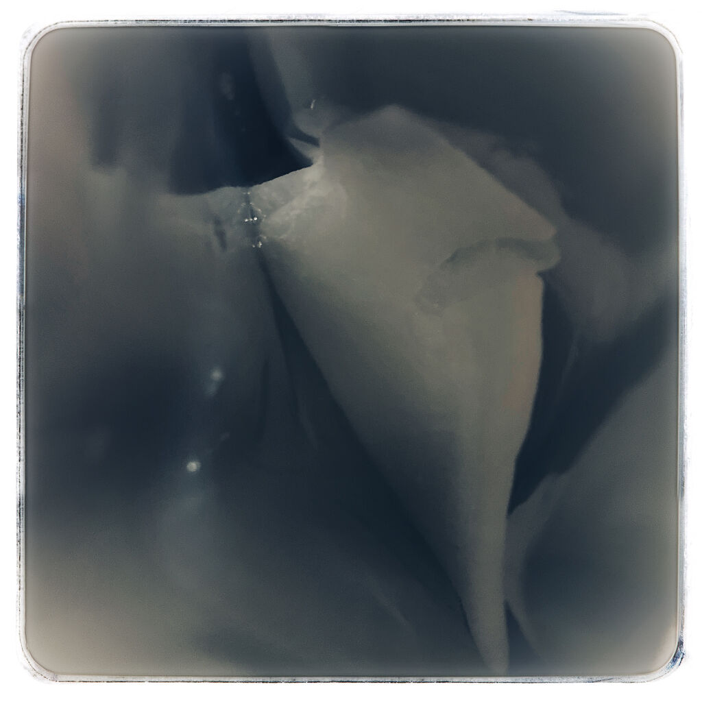 マイリアル スクイーズ マスクシート/innisfree/シートマスク・パックを使ったクチコミ（2枚目）