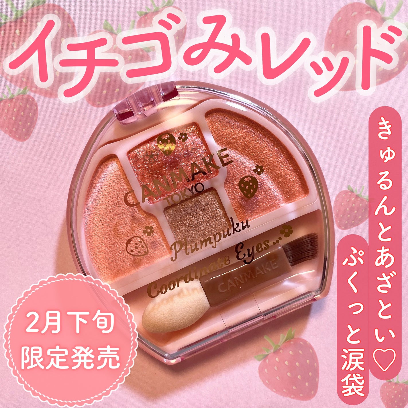 プランぷくコーデアイズ/キャンメイク/パウダーアイシャドウを使ったクチコミ(1枚目)