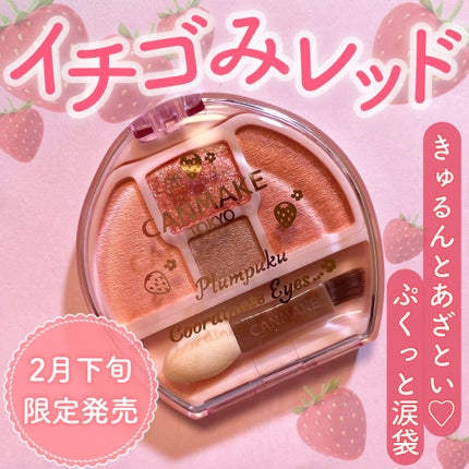 プランぷくコーデアイズ/キャンメイク/パウダーアイシャドウを使ったクチコミ(1枚目)