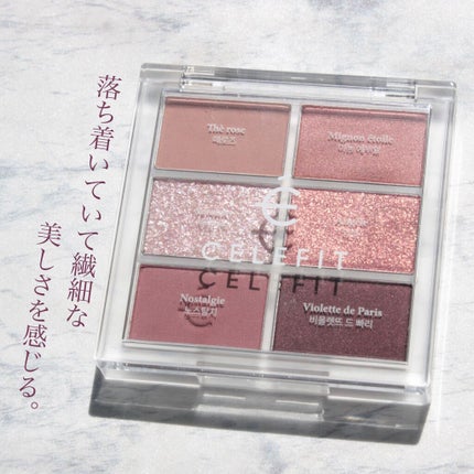 プロアイシャドウパレットセシル/CELEFIT/アイシャドウパレットを使ったクチコミ(1枚目)