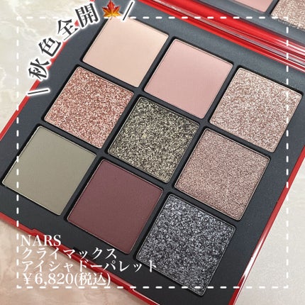 クライマックス アイシャドーパレット/NARS/アイシャドウパレットを使ったクチコミ(2枚目)