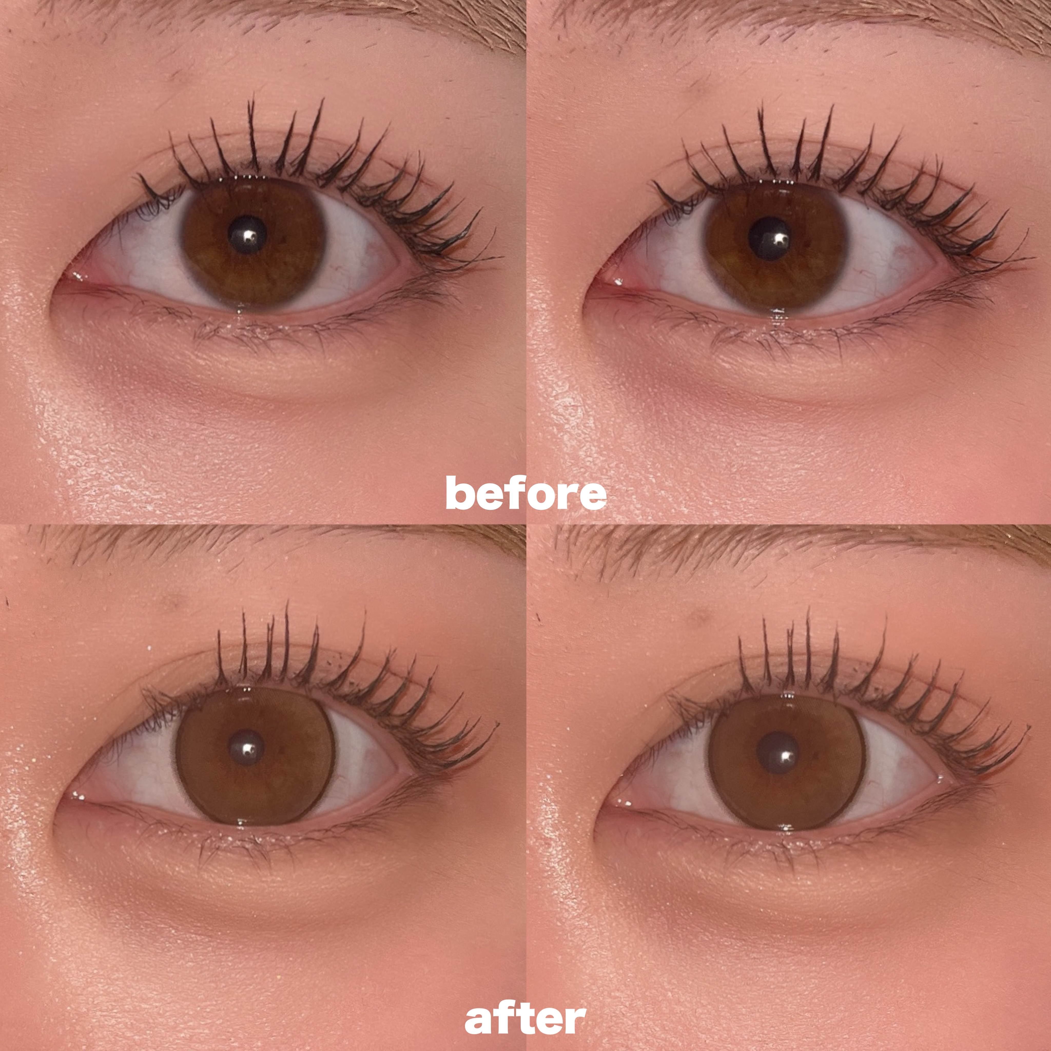 MOLAK 1day ドーリッシュブラウン/MOLAK/ワンデー（１DAY）カラコンを使ったクチコミ（2枚目）