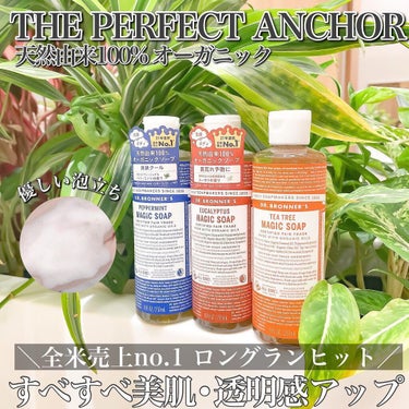 ザ・パーフェクトアンカー ティートゥリー #24/THE PERFECT ANCHOR/ボディソープを使ったクチコミ（1枚目）