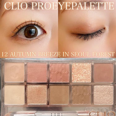 プロ アイ パレット 12 AUTUMN BREEZE IN SEOUL FOREST/CLIO/アイシャドウパレットを使ったクチコミ（1枚目）