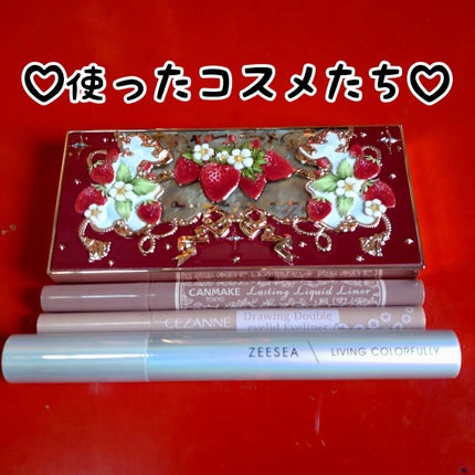 ラスティングリキッドライナー/キャンメイク/リキッドアイライナーを使ったクチコミ(6枚目)