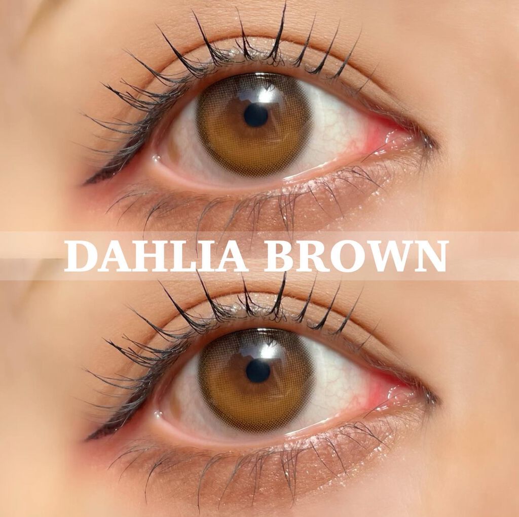 ダリアブラウンマンスリー (DAHLIA BROWN monthly)/OLOLA/1ヶ月(1MONTH)カラコンを使ったクチコミ(2枚目)